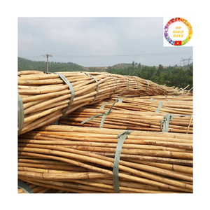 Raw Rattan <b>Poles</b> | Wholesale Natural Cane Vietnam Export Quality <b>for</b> Furniture & <b>Garden</b> - Product Image 6