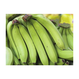 Prix compétitif Bananes Cavendish vertes fraîches disponibles pour le commerce de gros - Product Image 3