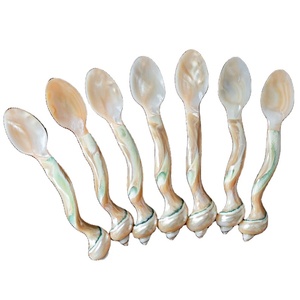 Cuchara de café de nácar de lujo Artesanías personalizables ecológicas de alta calidad para bodas y cenas - Product Image 1