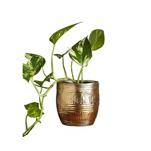 Irregular Texture Chrome Plated <b>Decorative</b> Flower <b>Pot</b> for Indoor Outdoor Green <b>Plants</b> by Axiom Home Accents Modern - Product Image 1