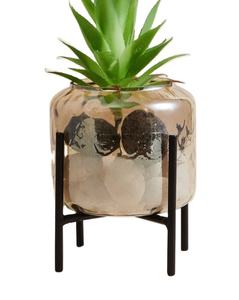 Maceta suculenta creativa con marco de Metal, macetas simples de hierro - Product Image 1