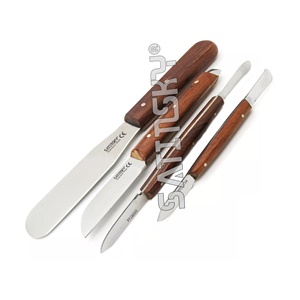 Juego de 6 Espátulas de Resina Compuesta Dental para Rellenos, Instrumentos Médicos Quirúrgicos Manuales para Reparación y Restauración - Product Image 4