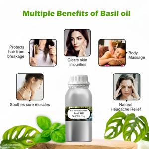 Huile essentielle de basilic OEM pour diffuseur, 100% pure et naturelle, pour les soins de la peau, l'aromathérapie, le massage et la fabrication de bougies - Product Image 3