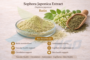 Suministro directo de fábrica de HGO de extracto puro natural de Sophora Japonica (grado alimenticio) Especificación Rutin 80% (extracto estandarizado) - Product Image 5