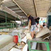 Vente en gros de latex naturel 60% DRC à haute teneur en ammoniac du Vietnam, certifié ISO 9001:2015, qualité de revêtement médical pour la lamination de colle et les applications corporelles