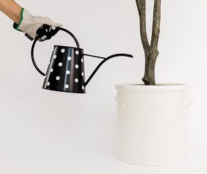 Arrosoir moderne au design tendance pour l'arrosage des fleurs de balcon et la décoration élégante des espaces de jardin contemporains - Product Image 4