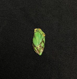 พลอยแจสเปอร์สีเขียวแกะสลักรูปใบไม้แบบคาโบชอง พลอยรูปใบไม้ พลอยเม็ดเดี่ยว ขายส่ง - Product Image 5