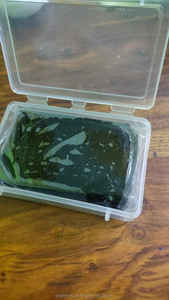 Pure Himalayan Shilajit Resin in Hard Brick Form in Bulk Quantities From India - Product Image 4