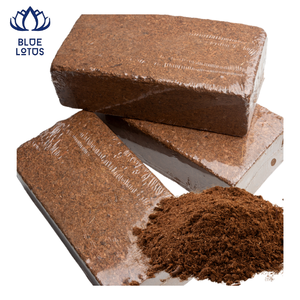Blocs de cocofibre compressés de haute qualité à faible teneur en EC, très demandés, durables et écologiques, pour la culture et le milieu de culture. - Product Image 1