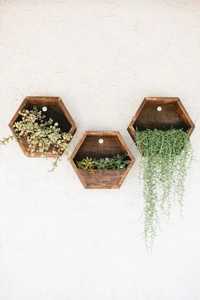 Juego de Maceteros de Pared Hexagonales de Madera Hechos a Mano, Estante Flotante en Forma de Panal, Soporte Geométrico de Madera para Suculentas, Estante Vertical para Jardín - Product Image 1