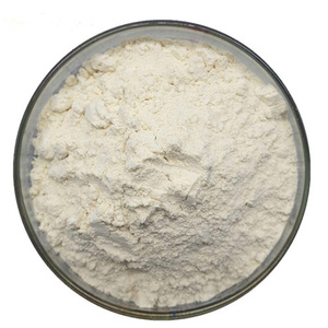 Enzima de Proteasa Alcalina de Grado Alimenticio Premium para el Procesamiento de Alimentos, Hidrólisis de Proteínas y Aplicaciones Industriales - Product Image 3