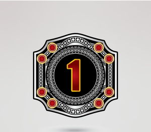 Ceinture de champion de lutte en cuir personnalisée avec quatre plaques latérales, design de logo doré, style de championnat poids lourd - Product Image 3
