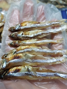 PREMIUM DRIED ANCHOVY - HIGH QUALITY DRIED SEAFOOD FOR WHOLESALE - Product Image 2
