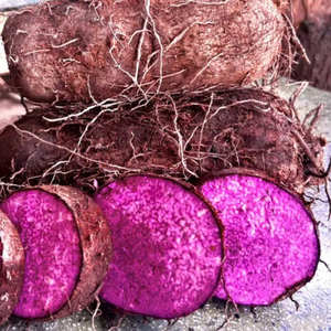 Premium Frozen Yam <b>Diced</b> IQF Uniform Cut Vietnam Factory Bulk Supply - Product Image 1