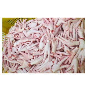 Frozen <b>Chicken</b> Feet and Paws Wholesale Premium Grade Bulk Export Packaging for Food Manufacturing - Product Image 1