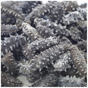 Pepino de Mar Seco del Reino Unido (Mariscos) de Alta Calidad a Buen Precio, Disponible Aquí para la Venta - Product Image 1