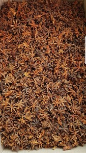 โป๊ยกั๊กแบบแห้งสำหรับฤดูใบไม้ผลิราคาถูกจากเวียดนาม - Product Image 2