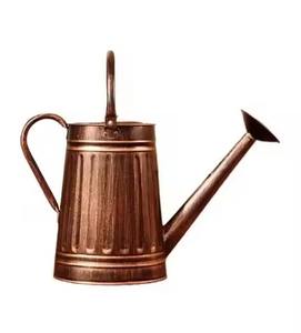 Regadera Clásica de Metal con Boquilla Larga para Plantas, para Hogar y Jardín - Product Image 1