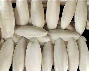 Hueso de Sepia Seco de Gran Tamaño para Criadores Profesionales de Mascotas y Producción de Alimentos para Animales, Suministro de Materia Prima Natural de Calcio - Product Image 4