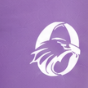 Leggings d'équitation pour femmes, couleur violette, taille haute, extensibles, avec grip en silicone, pour l'entraînement - Product Image 6
