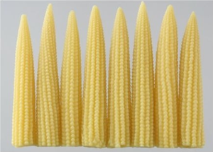 Maíz Bebé Congelado IQF, Vegetales Enteros Pelados y Cocidos al Vapor - Product Image 3