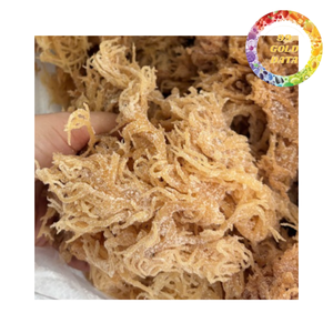 Musgo Marino Seco Premium, Ingrediente Superalimento Saludable, Fabricante Mayorista de Marca Privada - Product Image 3