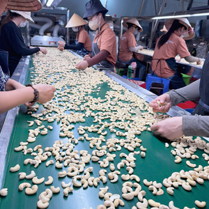 Noix de cajou à courte durée de livraison, noyaux de cajou SANTIGO Kaju en vrac - Product Image 1