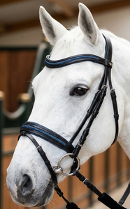 Brida para Caballo HM GLOBAL Premium, Talla Full Cob, Cuero DD de Alta Calidad, Narquera Elevada, Frontal con Brillo, para Equitación - Product Image 3
