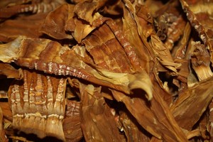 หน่อไม้ไผ่แห้งพรีเมียม – หน่อไม้ไผ่ตากแดดธรรมชาติ ผู้จัดจำหน่ายจากเวียดนาม // คุณทอม - Product Image 3