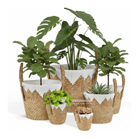 Paniers de rangement en osier naturel écologiques avec poignées, petites et grandes tailles |   Ventes en gros de plantes pour salle de bain et buanderie