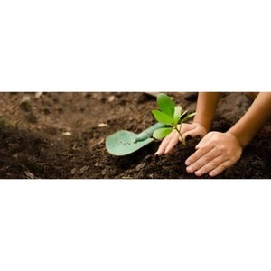 Premium Coir Pith pour le jardinage Disponible en vrac pour les états-unis et le royaume-uni riche qualité est prêt pour l'exportation - Product Image 5