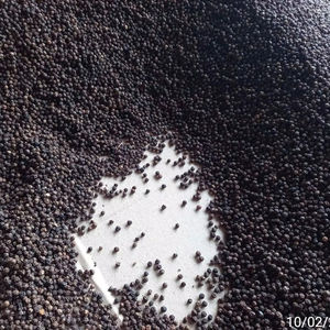 Pimienta Negra de Vietnam, Nueva Cosecha 2026, Cruda, Seca, Calidad Premium, Mejor Precio, Lista para Entrega - Product Image 6