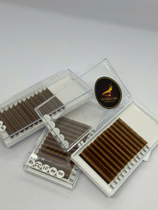 Extensions de cils en éventail pré-fabriquées faites à la main en gros, plateau individuel 5D 6D 7D 8D 9D 10D 12D, PBT coréen - Product Image 4