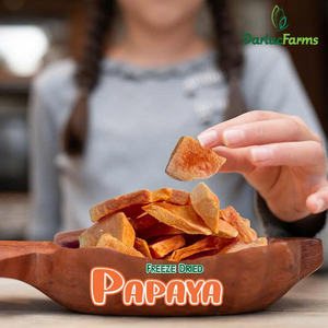 OEM Chips de papaye orange de haute qualité 50 kg, prêts à consommer, croustillants, tranchés, goût sucré, emballage en vrac FD, Darlac Farms 100% - Product Image 3