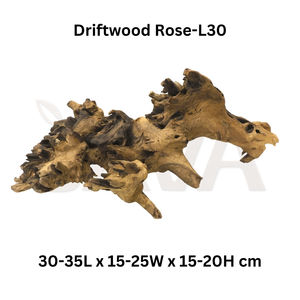Bois flottant décoratif écologique pour terrarium et aquascape Java Rose-L30 – Décoration d'aquarium - Product Image 2