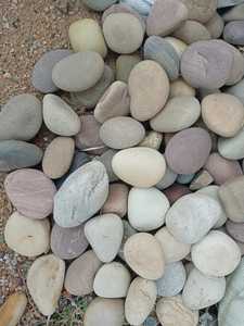 El proveedor indio ofrece piedras de guijarro de Río caídas lisas naturales adoquines de colores mezclados para decoración de paisajismo de jardín al aire libre - Product Image 5