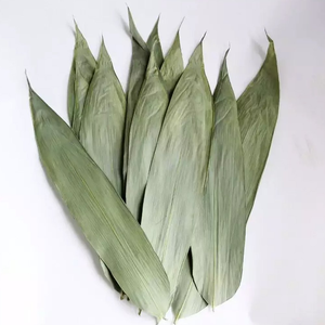 ใบไผ่สดสีเขียวคุณภาพพรีเมียม คัดสรรพิเศษ สำหรับห่อข้าวต้มและใช้ในงานสมุนไพร - Product Image 2