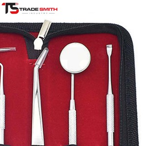Kit Dental Duradero TSI, Herramientas Dentales de Acero Inoxidable Resistentes a la Corrosión para Clínicas Profesionales y Práctica Clínica Diaria - Product Image 2