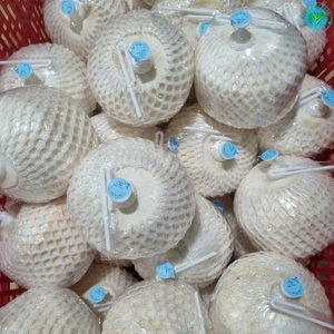 Boisson Rafraîchissante au Diamant de Coco de Qualité Supérieure Origine Vietnam Commandes en Gros à Prix Compétitif - Product Image 4