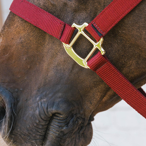 Wholesale Adjustable Horse Halter Plated Finish Heavy Industry Use Anti-Slip Durable Horse <b>Headcollar</b> Training Equipment - Product Image 5