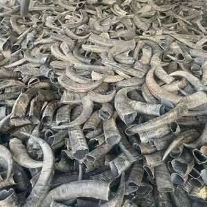 Friandises à mâcher naturelles pour chiens en corne de buffle, sans produits chimiques, pour le camping et les fêtes. - Product Image 6