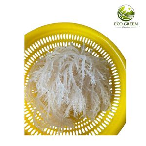 Mousse d'Irlande blanche naturelle, mousse de mer séchée, algues marines biologiques, fournisseur en gros pour les smoothies, la fabrication de gels et les produits de soin de la peau - Product Image 5