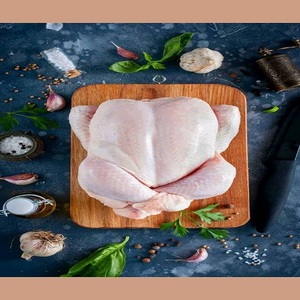 Pollo Congelado de Alta Calidad al por Mayor, Sin Azúcar, con Vitaminas, a Buen Precio, con Certificación Halal - Product Image 6