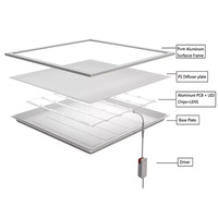 CE ROHS 36W 48W 50W 60W 1200x300 300x300 600x600mm Led Panneau Lumineux