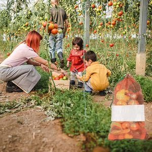 Mesh Produce Bags with White Coating Mesh - Product Image 2