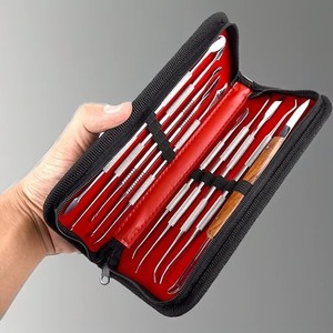 Juego de 10 Herramientas de Acero Inoxidable para Esculpir Cera Dental, Kit de Instrumentos Quirúrgicos para Escultura Dental con Estuche - Product Image 4