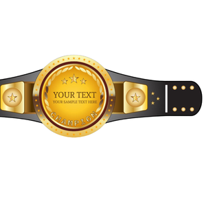 Ceinture de champion personnalisée, ceinture de titre de lutte de haute qualité, design personnalisé, décoration étoilée - Product Image 6