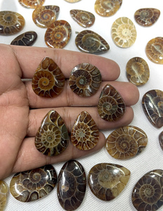 Radha Arts - Gemas Sueltas de Amonita Natural de Alta Calidad, Cabujón de Forma Mixta de 20-35 mm, para Fabricación de Joyería de Plata, Personalizable - Product Image 1