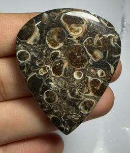 Cabochon en agate Turritella en forme de cœur, pierre précieuse minérale polie pour la fabrication de bijoux - Product Image 1