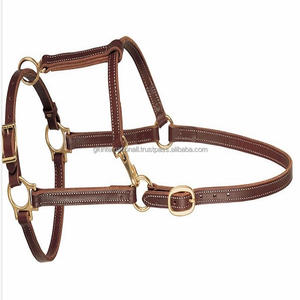 Cabestro de caballo de cuero de calidad premium con herrajes chapados en latón fuertes y duraderos, cabestro ajustable de doble costura - Product Image 6